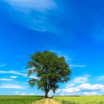 本日の講座は「行動できない時の心理学」です